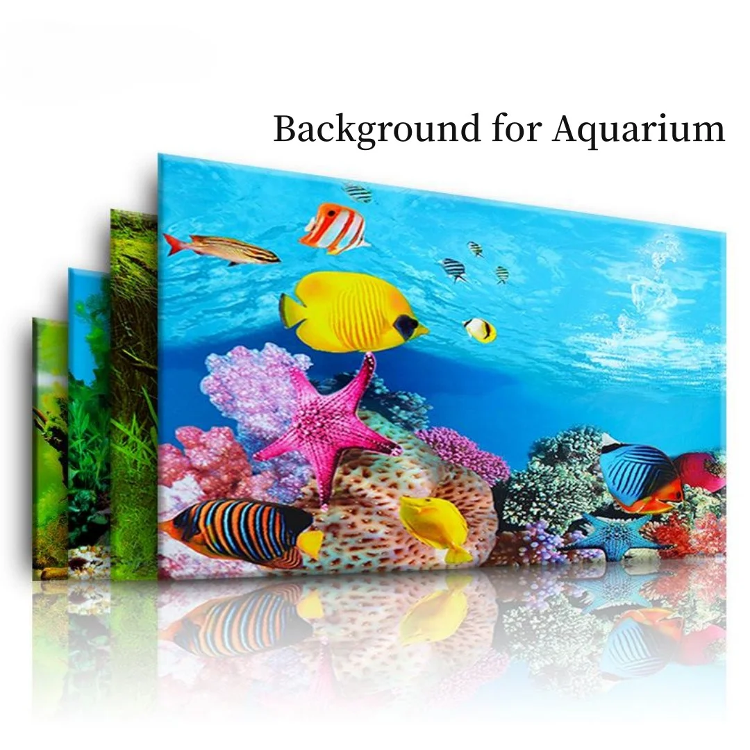 Aquarium Fish Only - Background Aquarium 3D Sticker Poster Decoration