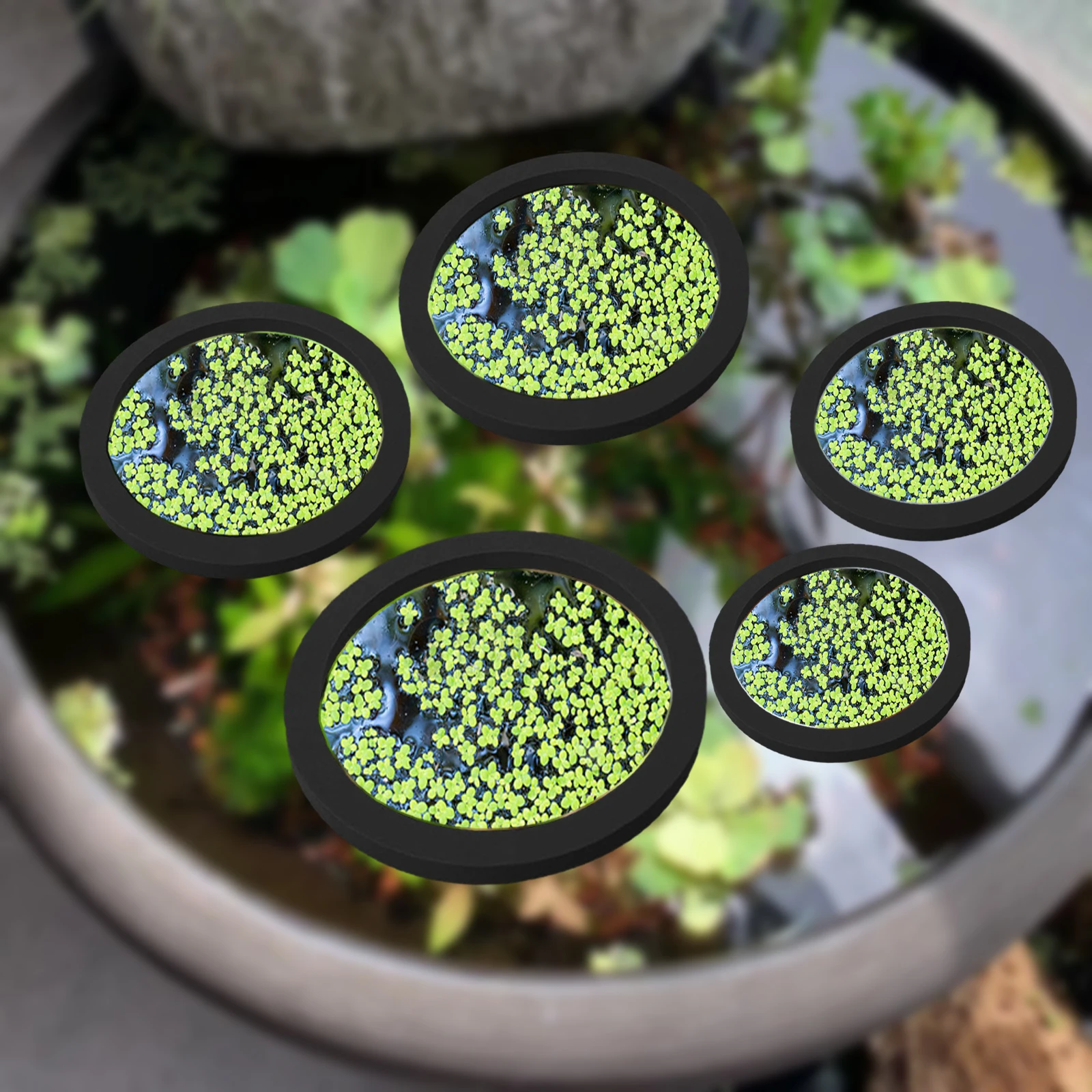 Aquarium Fish Buy - 5Pcs EVA Fish Feeding Ring Aquarium