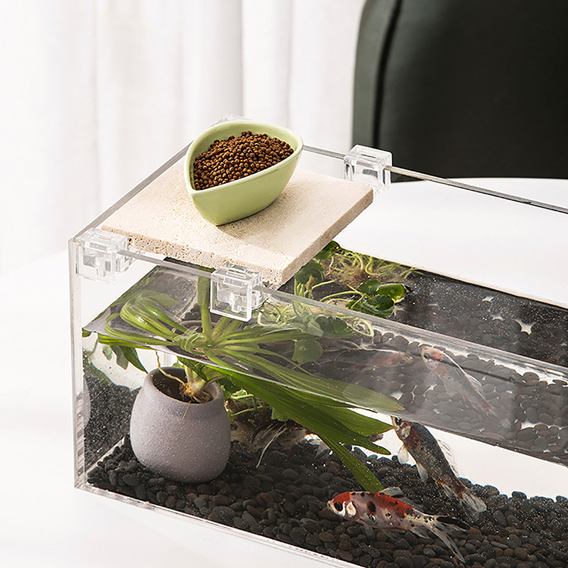 4PCS Acrylic Fish Tank Cover H - Aquarium Fish Buy ulasan dan harga