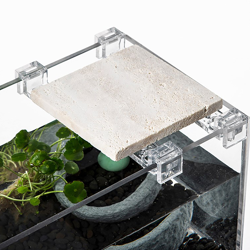 4PCS Acrylic Fish Tank Cover H - Aquarium Fish Buy ulasan dan harga