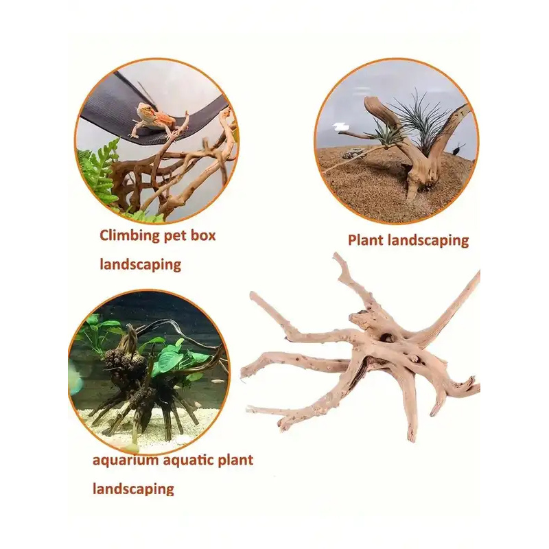 Natural Driftwood for Aquarium - Aquarium Fish Only ulasan dan harga