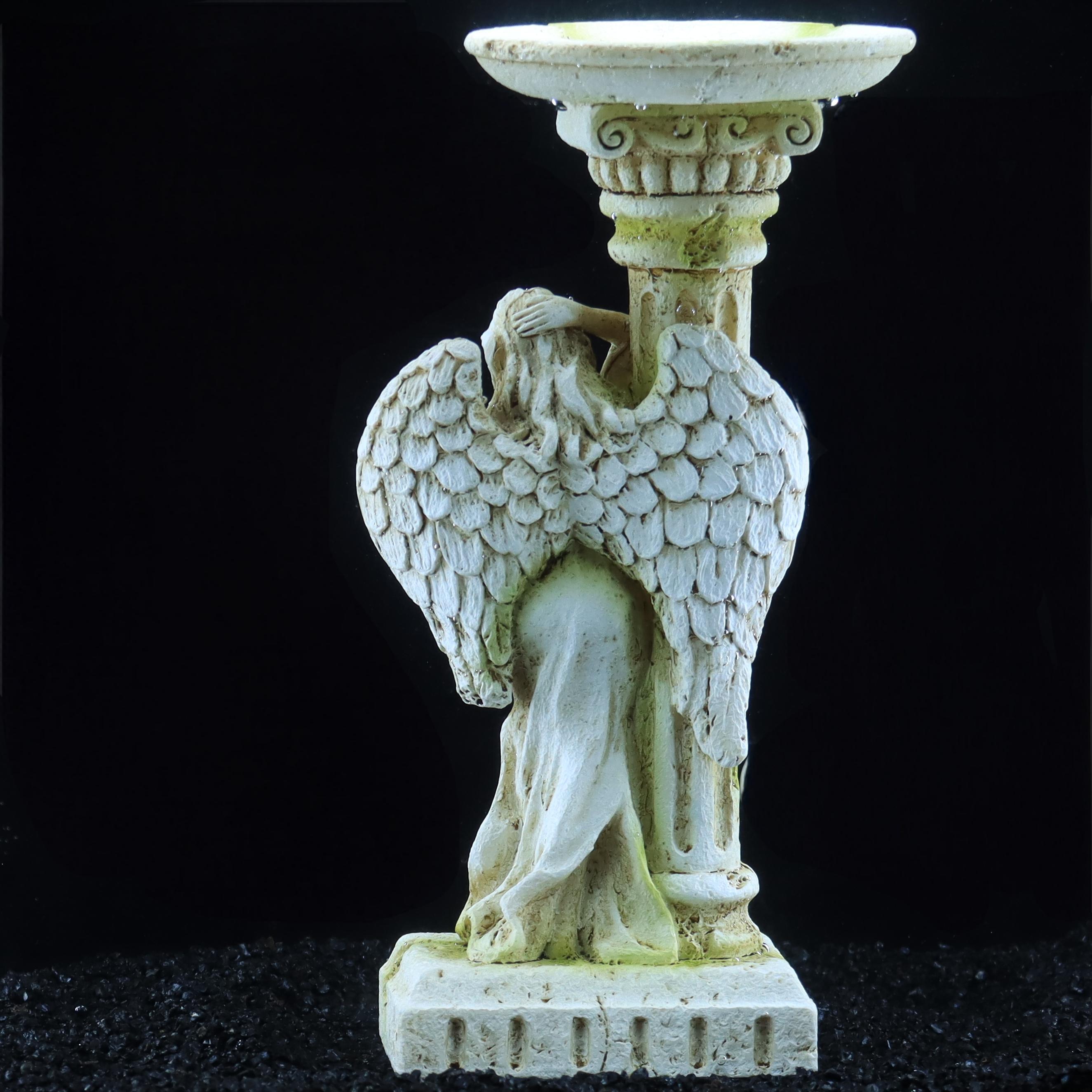 Roman angel, vintage Romantic  - Aquarium Fish Angel ulasan dan harga