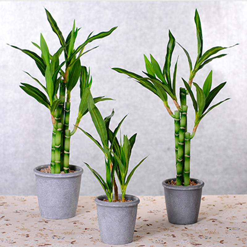New 40cm Artificial Lucky Bamb - Aquarium Fish Buy ulasan dan harga