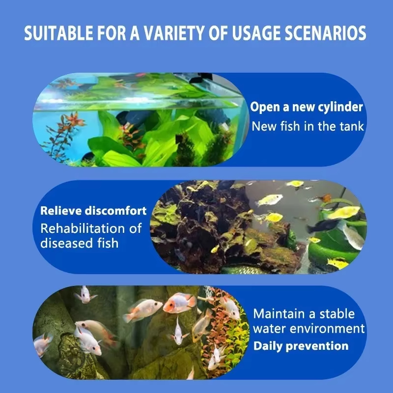 SIKEZHAN Fish Disease Treatmen - Aquarium Fish Quality ulasan dan harga