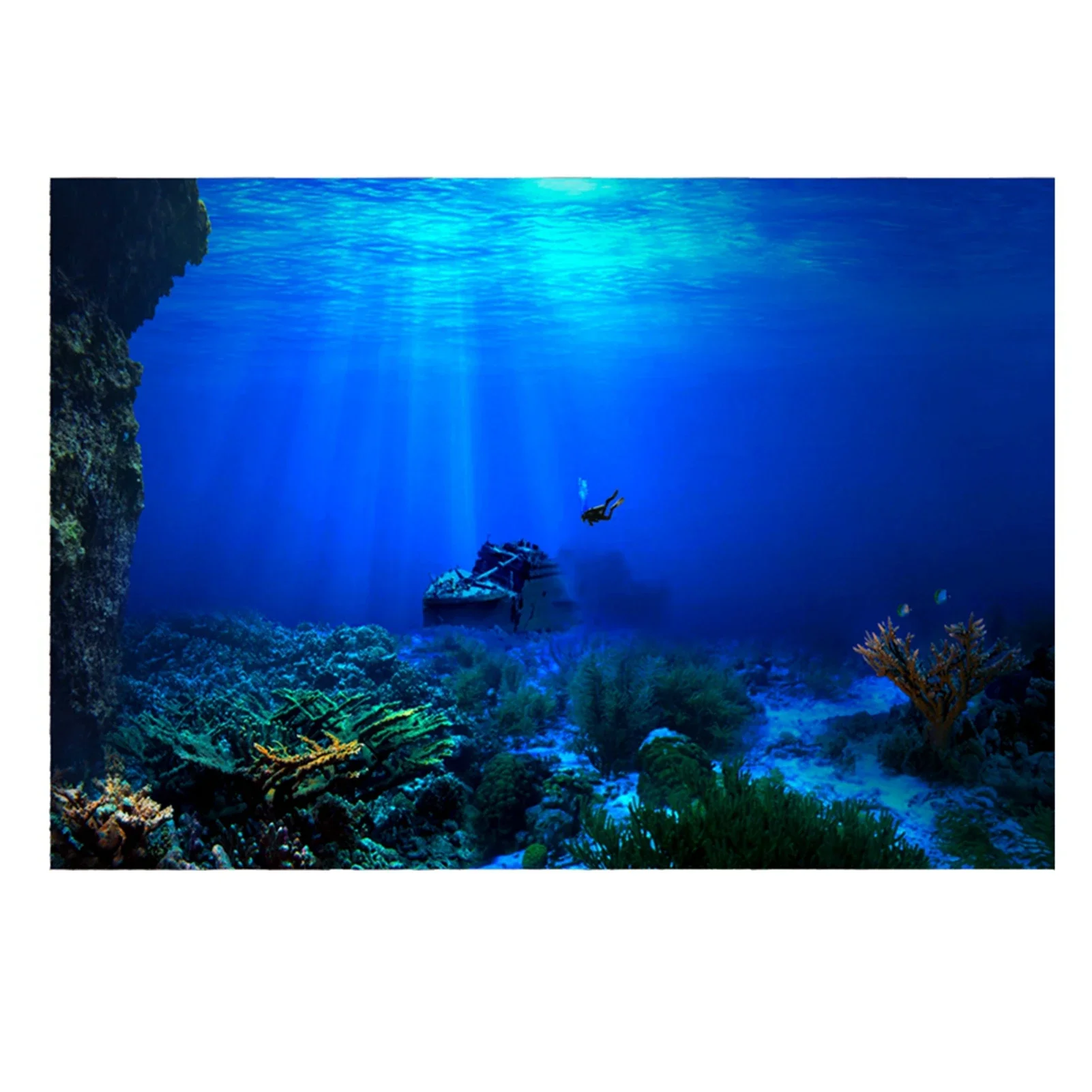 Rainforest Aquarium Background - Aquarium Fish World ulasan dan harga