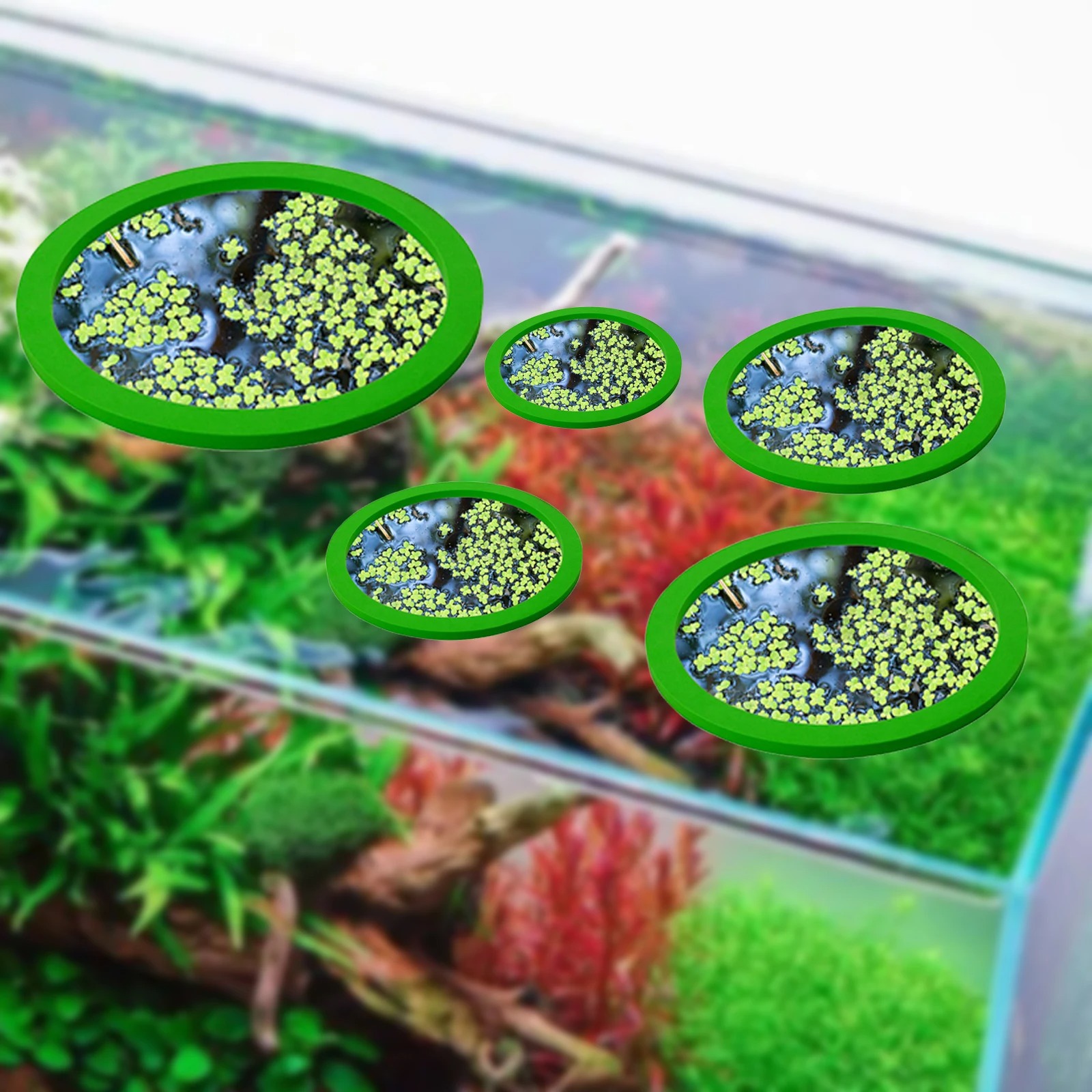 5Pcs EVA Fish Feeding Ring Aqu - Aquarium Fish Buy ulasan dan harga