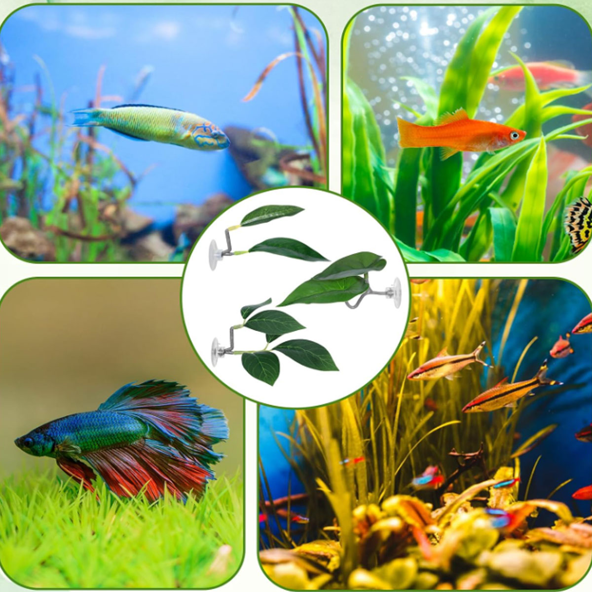 1 PC Betta Fish Hammock Soft A - Aquarium Fish Only ulasan dan harga