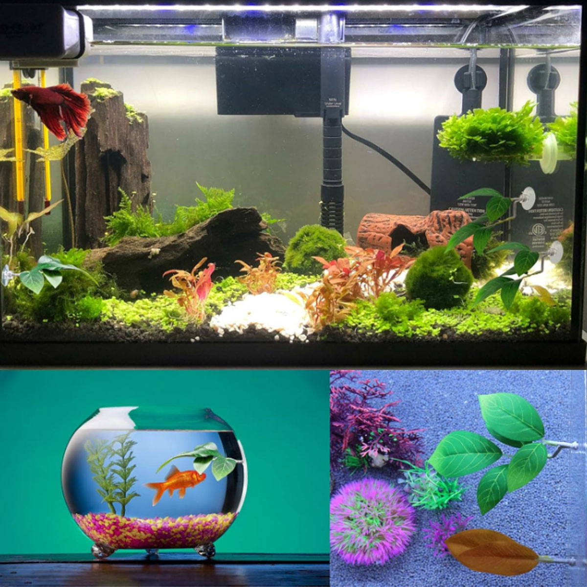 1 PC Betta Fish Hammock Soft A - Aquarium Fish Only ulasan dan harga