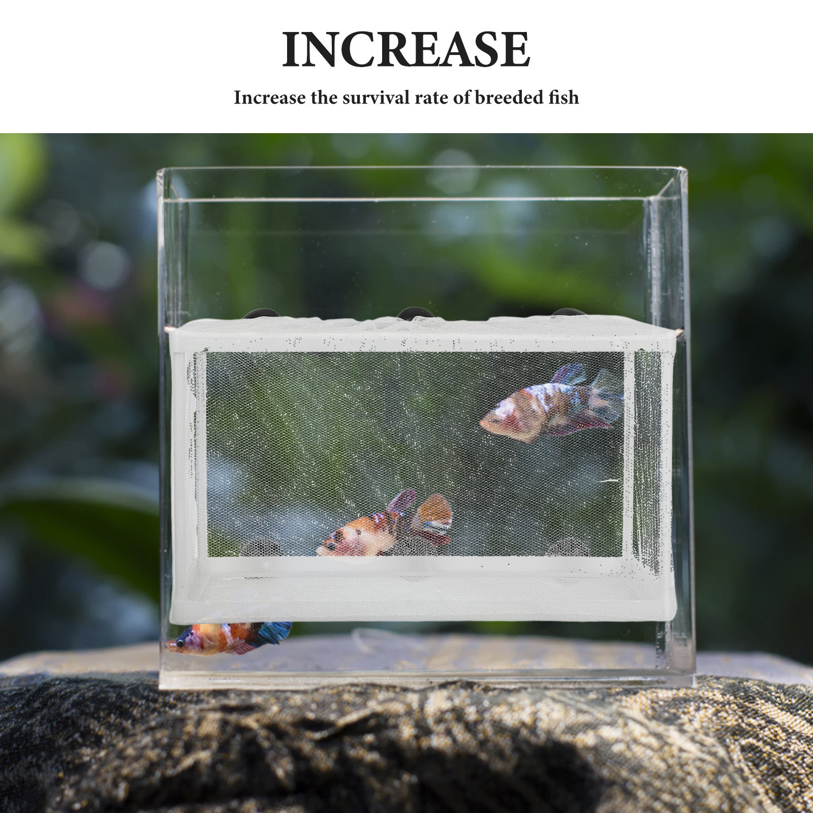 Fish Net Big Size Fish Box Hat - Aquarium Fish Net Big Size ulasan dan harga