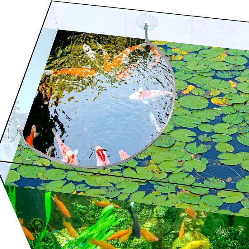 Floating Plant Corral Fish Fee - Aquarium Fish Quality ulasan dan harga