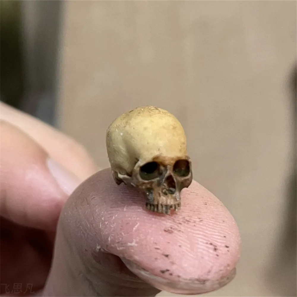 Mini Skull High Quality Miniat - Aquarium Fish Buy ulasan dan harga